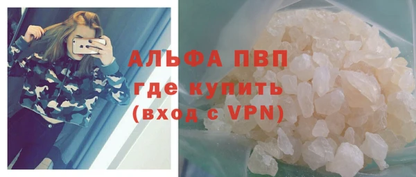 стаф Туринск
