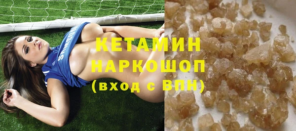 стаф Туринск