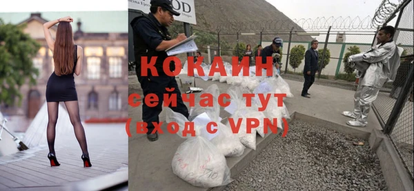 стаф Туринск