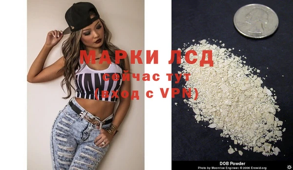 стаф Туринск