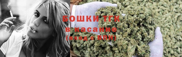стаф Туринск