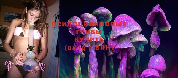 стаф Туринск