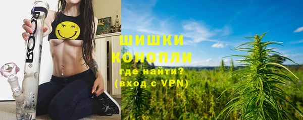 стаф Туринск