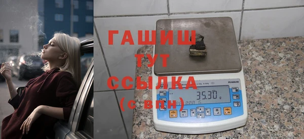 стаф Туринск