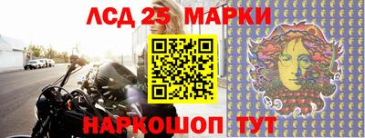сатива Краснодар