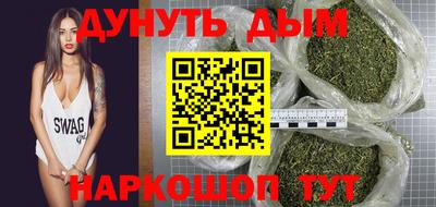 сатива Краснодар
