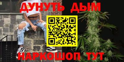 сатива Краснодар