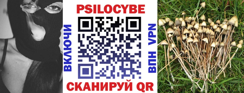 Галлюциногенные грибы мицелий  Пермь 