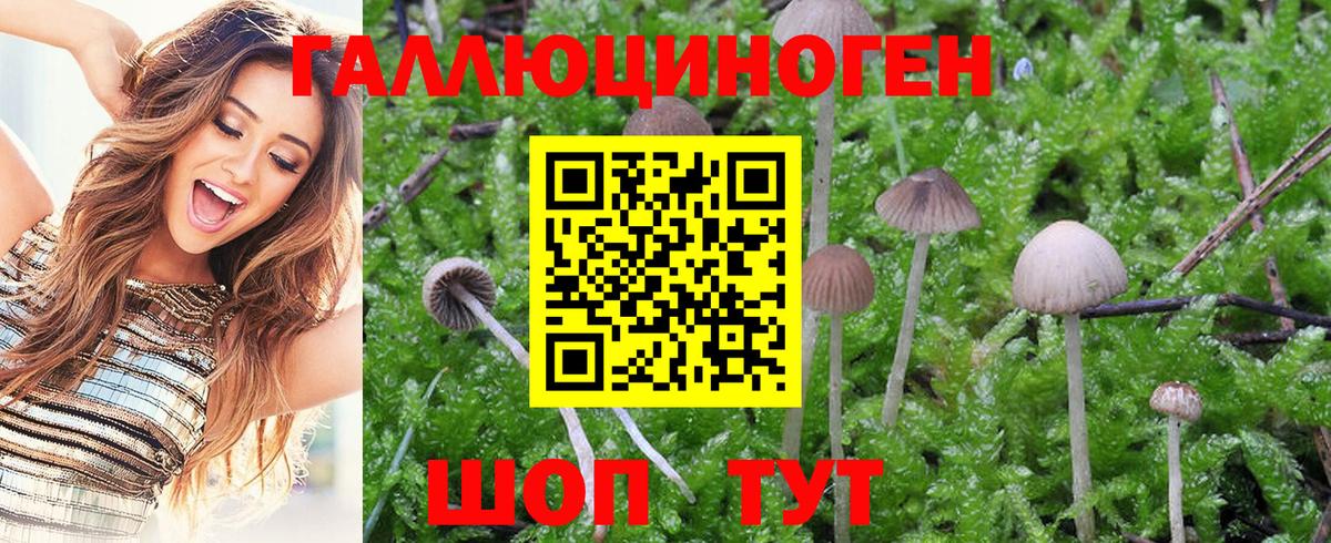 Псилоцибиновые грибы мухоморы Пермь